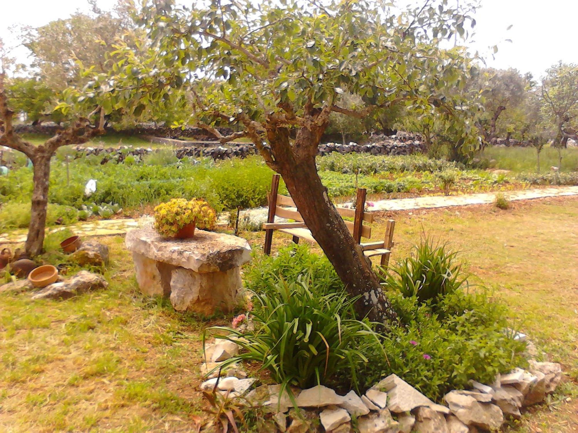 Retiro Da Avo Lidia -