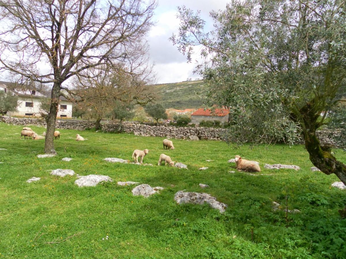 Retiro Da Avo Lidia - Mendiga